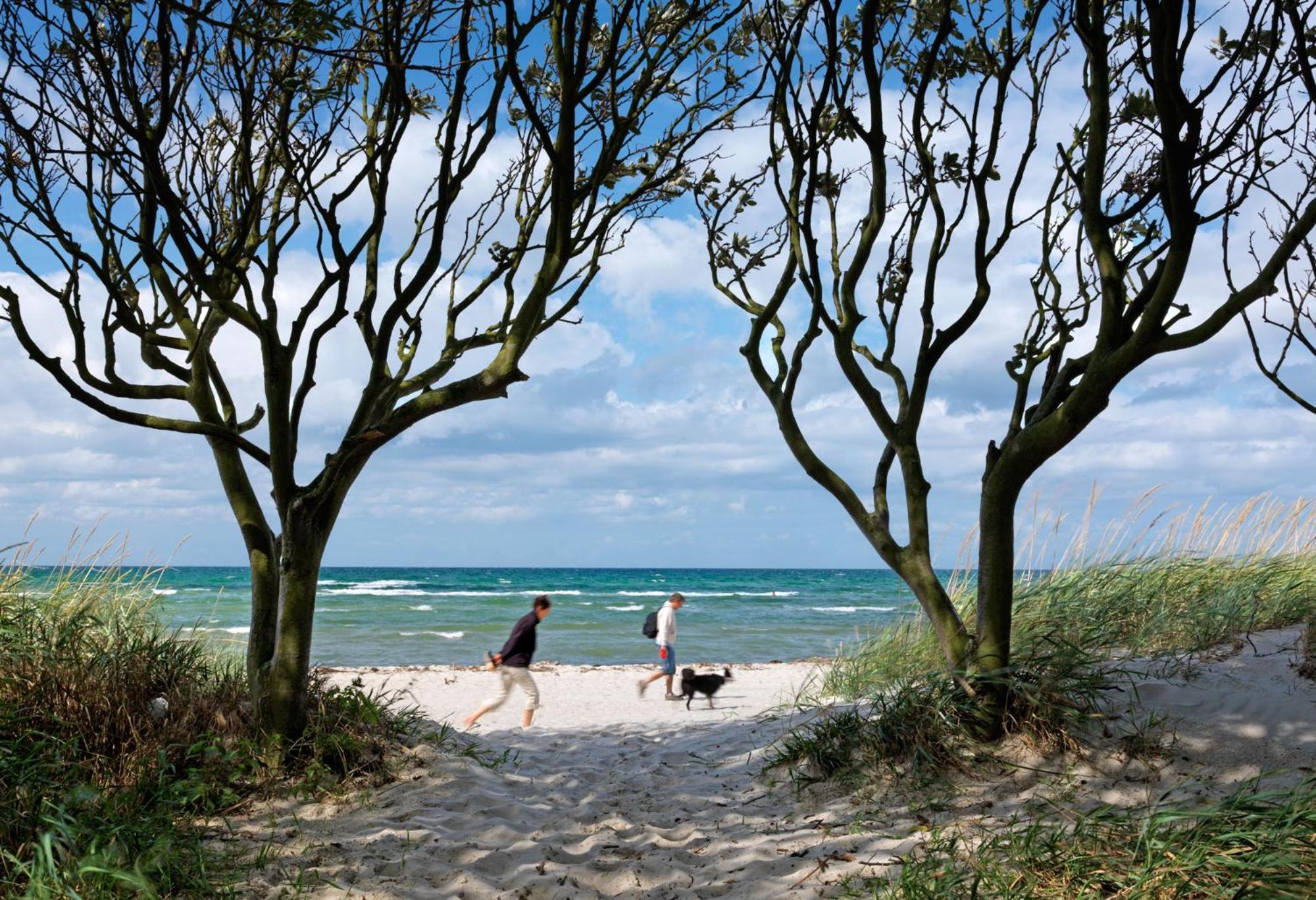 Insel-Idyll Sonnenschein Lejlighed Poel Eksteriør billede