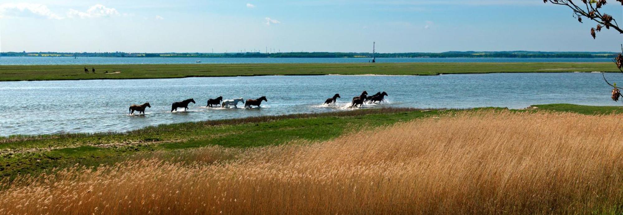 Insel-Idyll Sonnenschein Lejlighed Poel Eksteriør billede