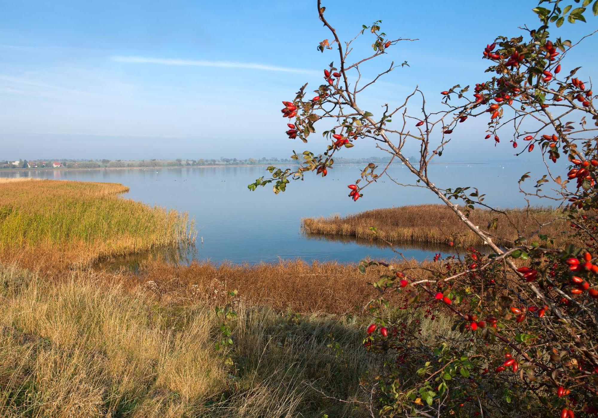Insel-Idyll Sonnenschein Lejlighed Poel Eksteriør billede