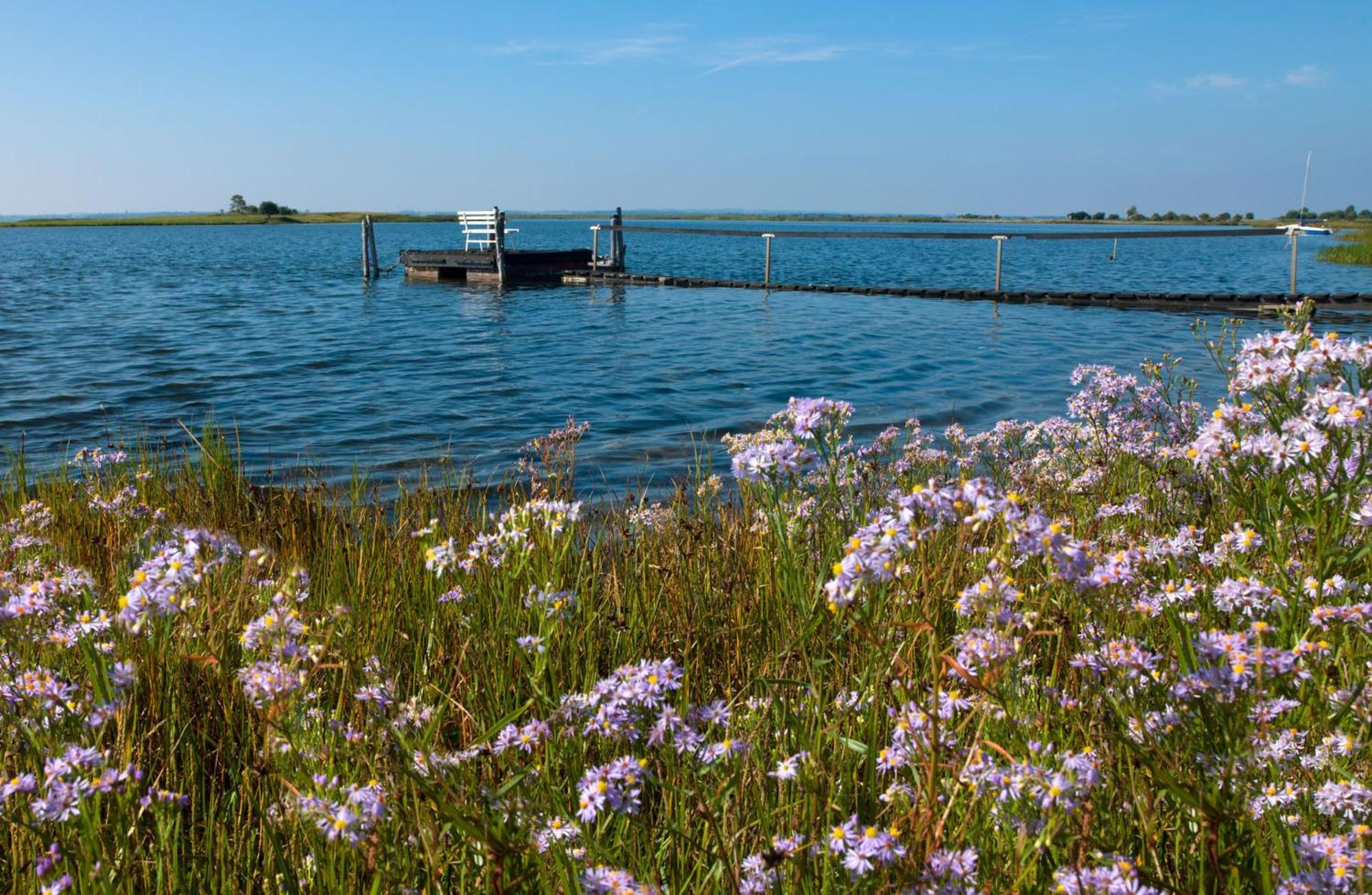 Insel-Idyll Sonnenschein Lejlighed Poel Eksteriør billede