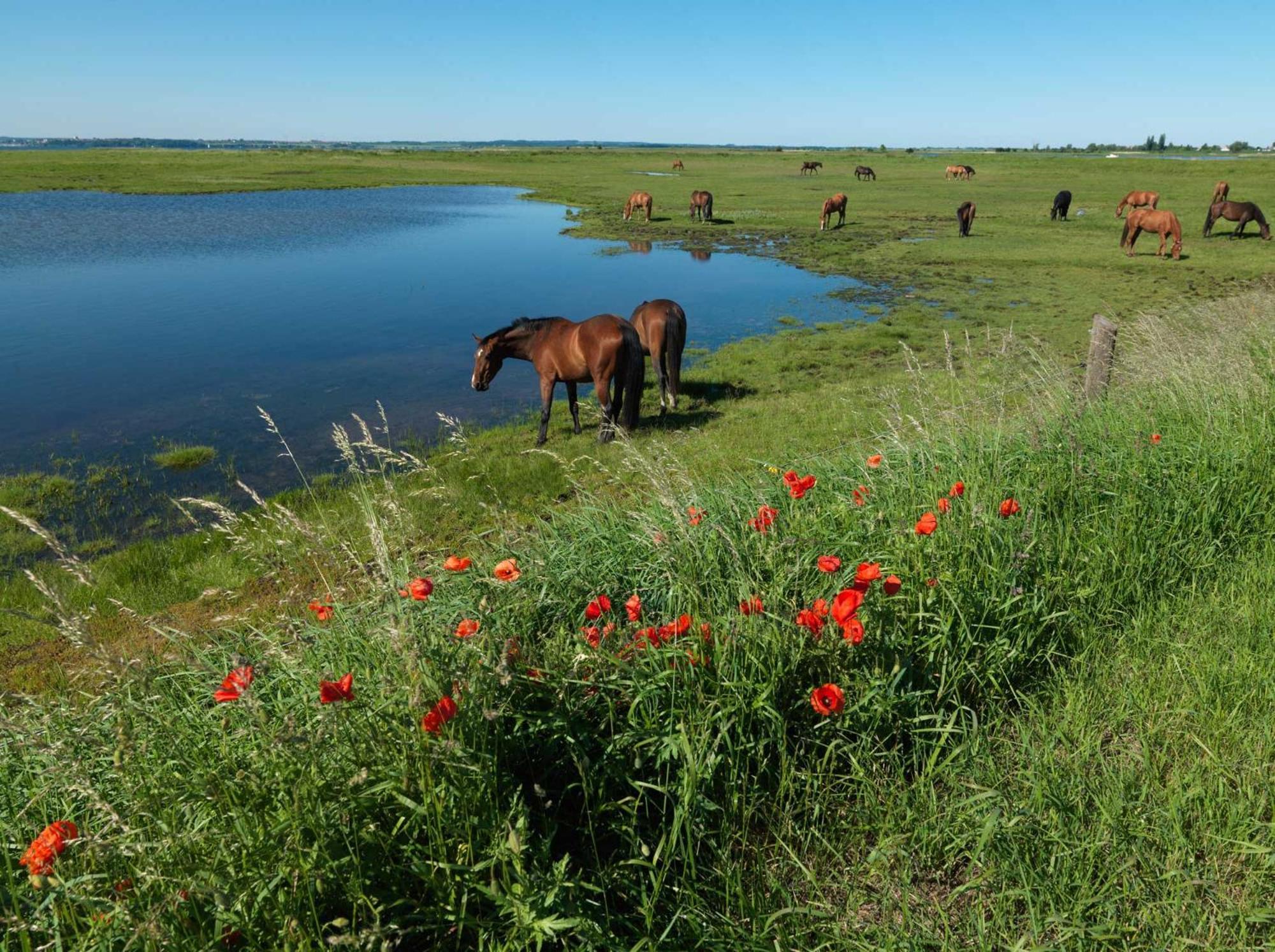Insel-Idyll Sonnenschein Lejlighed Poel Eksteriør billede